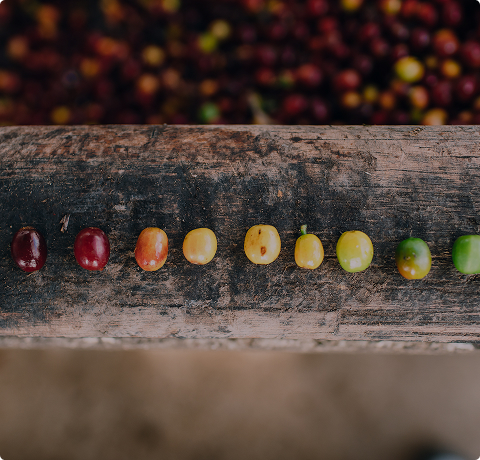 原產地追溯管理