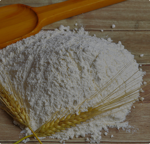 新鮮烘焙 ‧ 多樣風味